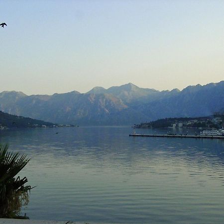 Apartment Mimosa Kotor Eksteriør bilde