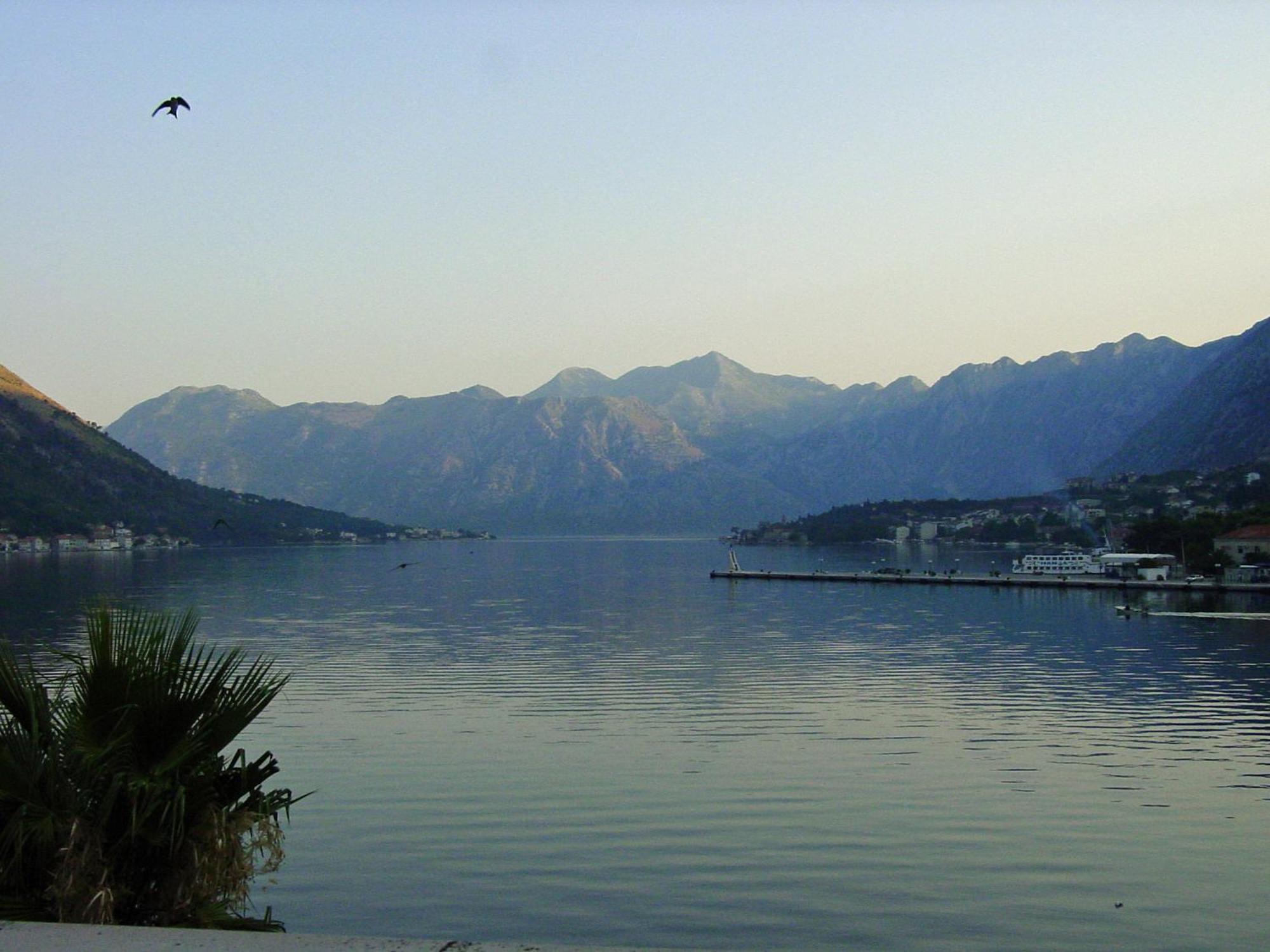 Apartment Mimosa Kotor Eksteriør bilde