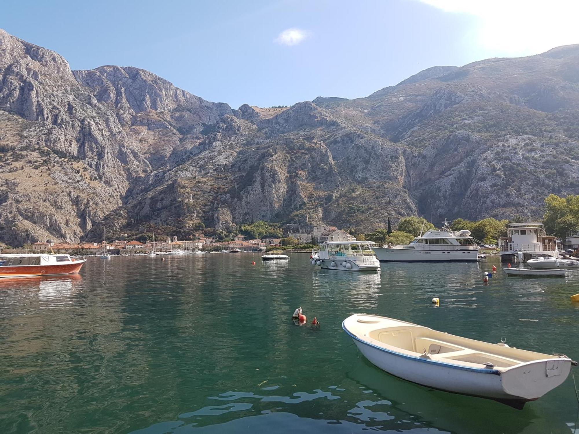 Apartment Mimosa Kotor Eksteriør bilde