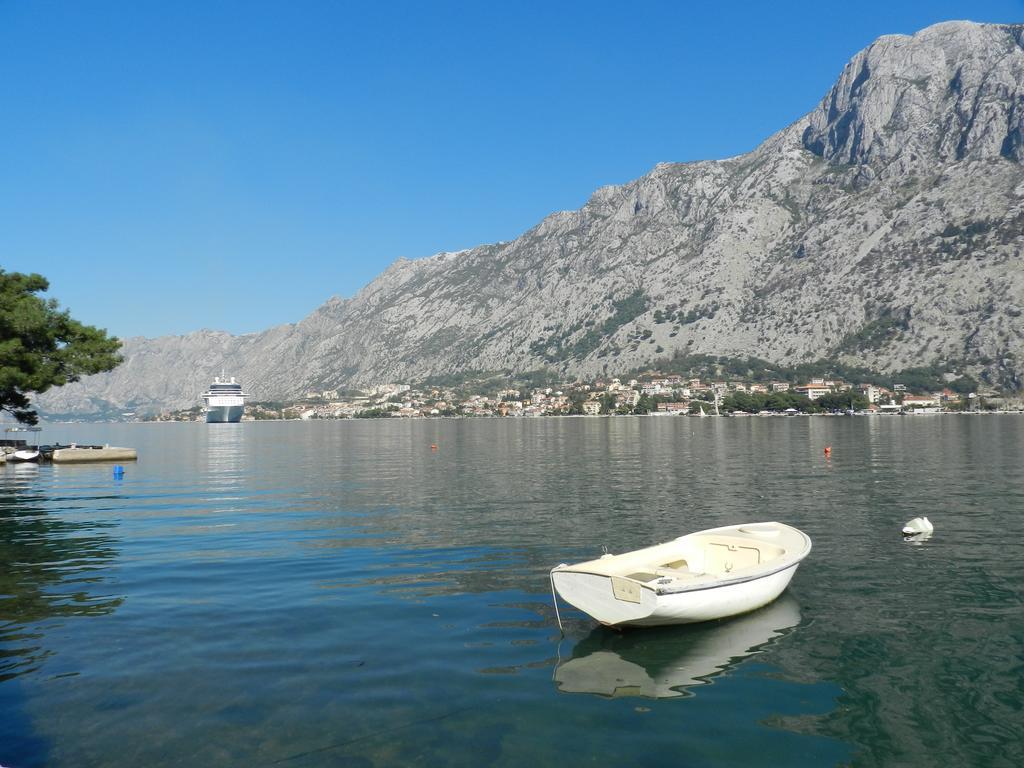Apartment Mimosa Kotor Rom bilde