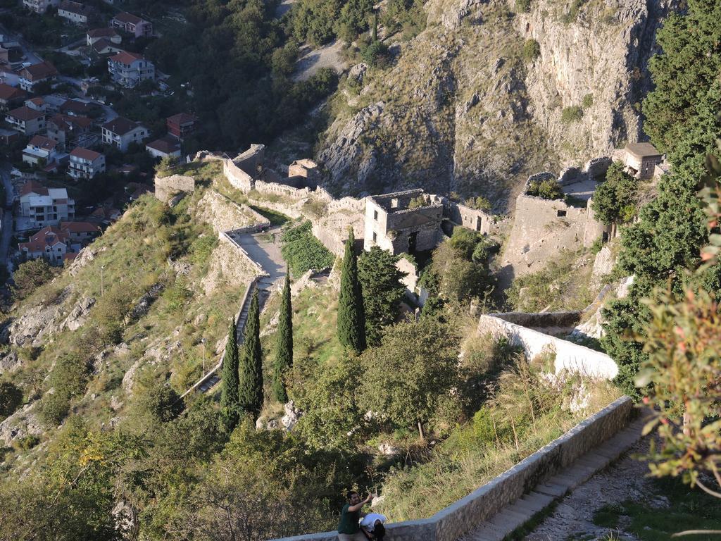 Apartment Mimosa Kotor Rom bilde