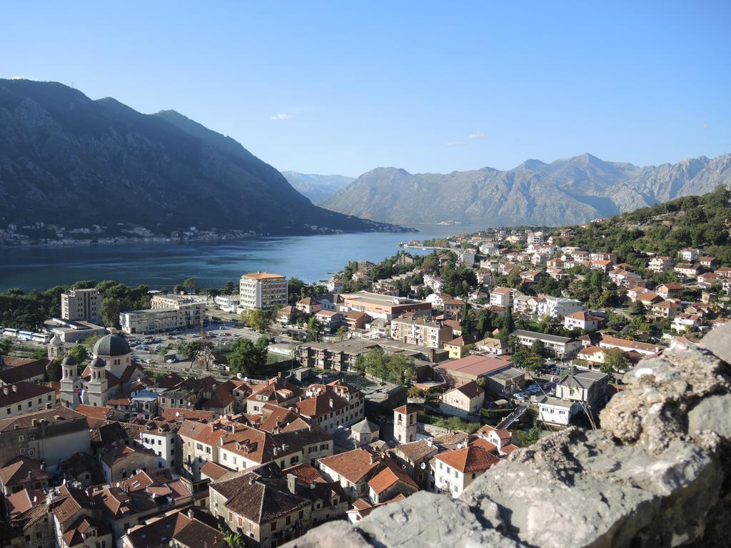 Apartment Mimosa Kotor Rom bilde