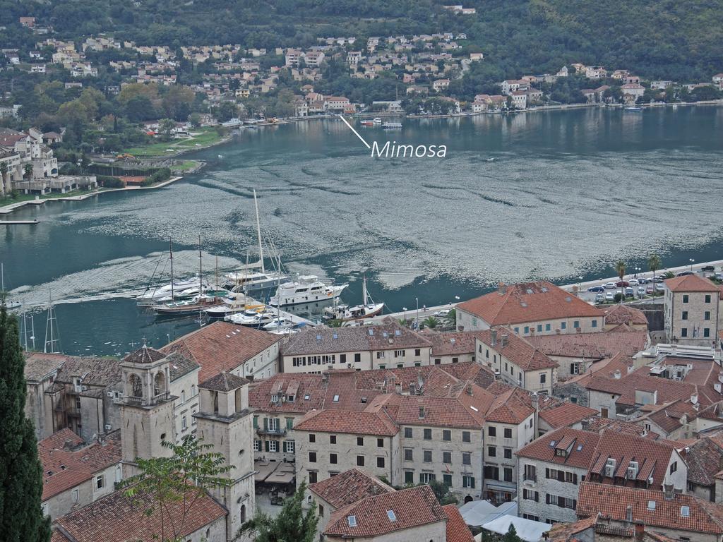 Apartment Mimosa Kotor Rom bilde