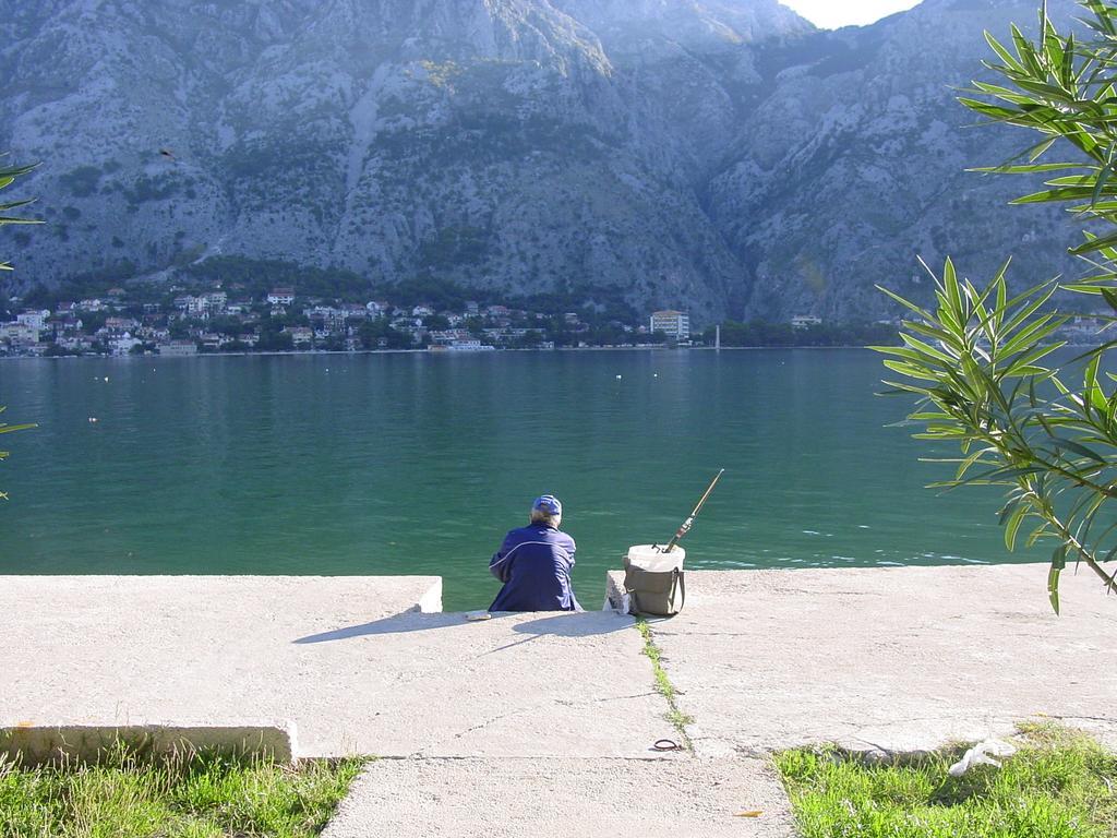 Apartment Mimosa Kotor Rom bilde
