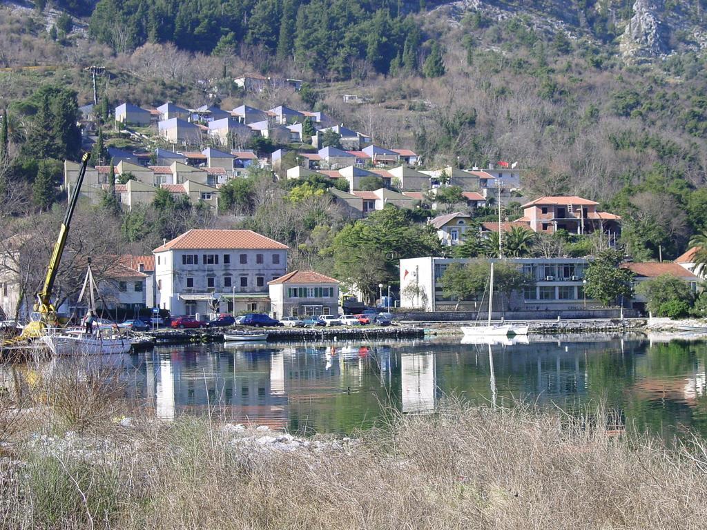 Apartment Mimosa Kotor Rom bilde