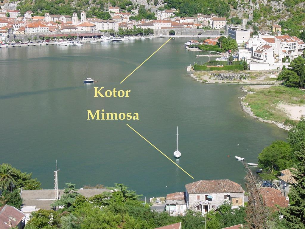 Apartment Mimosa Kotor Rom bilde