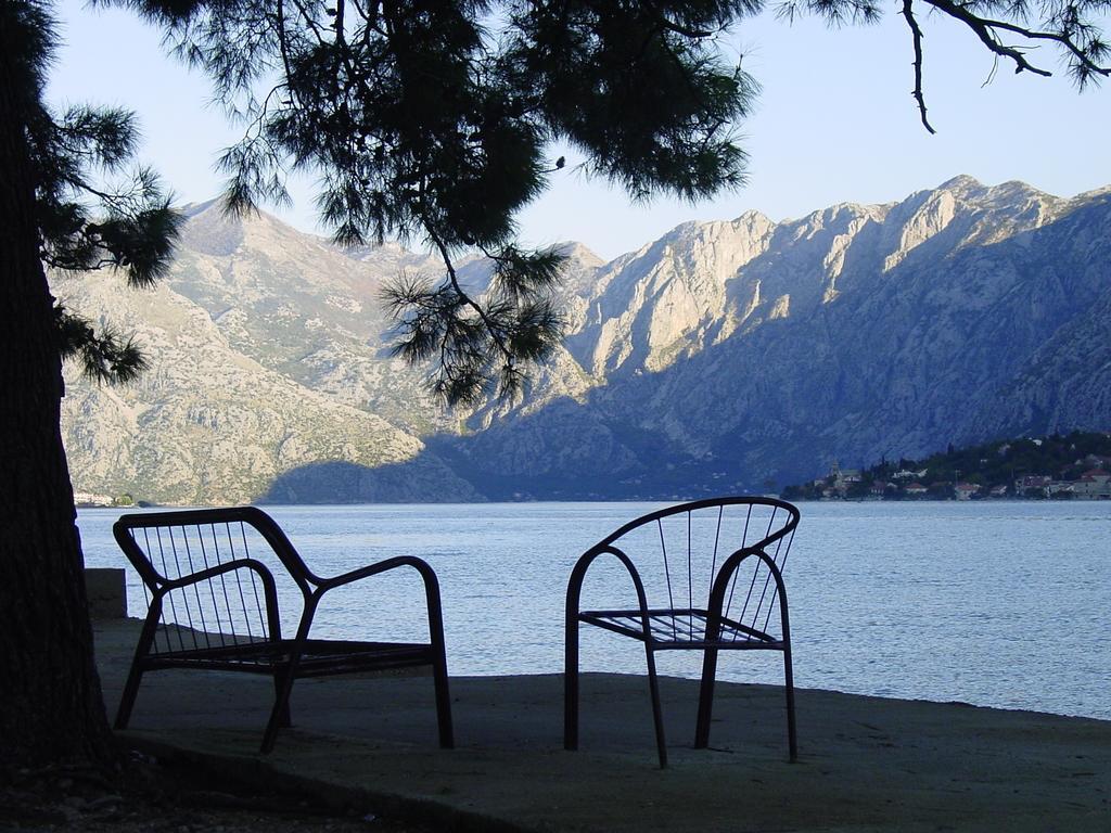 Apartment Mimosa Kotor Rom bilde