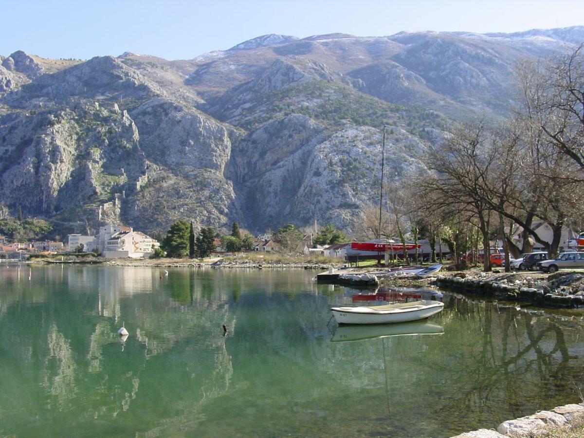 Apartment Mimosa Kotor Eksteriør bilde